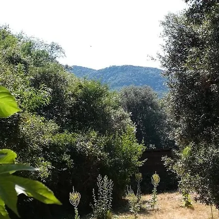 D'hotes Les Jourdets A L'abri De L'oree